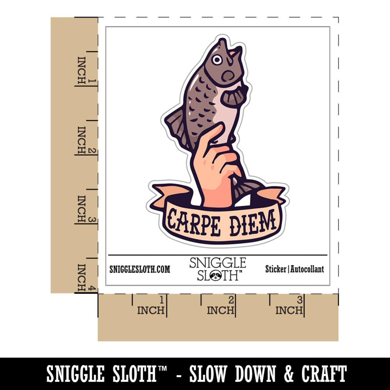 Water Bottle Sticker Set Carpe Diem Funny Hand Holding Fish Carp Cute Waterproof Vinyl Stickers Pack Decal, Skateboard, Laptop, Car, Window, Bumper - 5 Pack